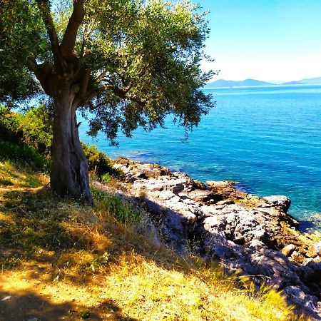 Villa Leonidas Greecefiloxenia Λεφόκαστρο Εξωτερικό φωτογραφία