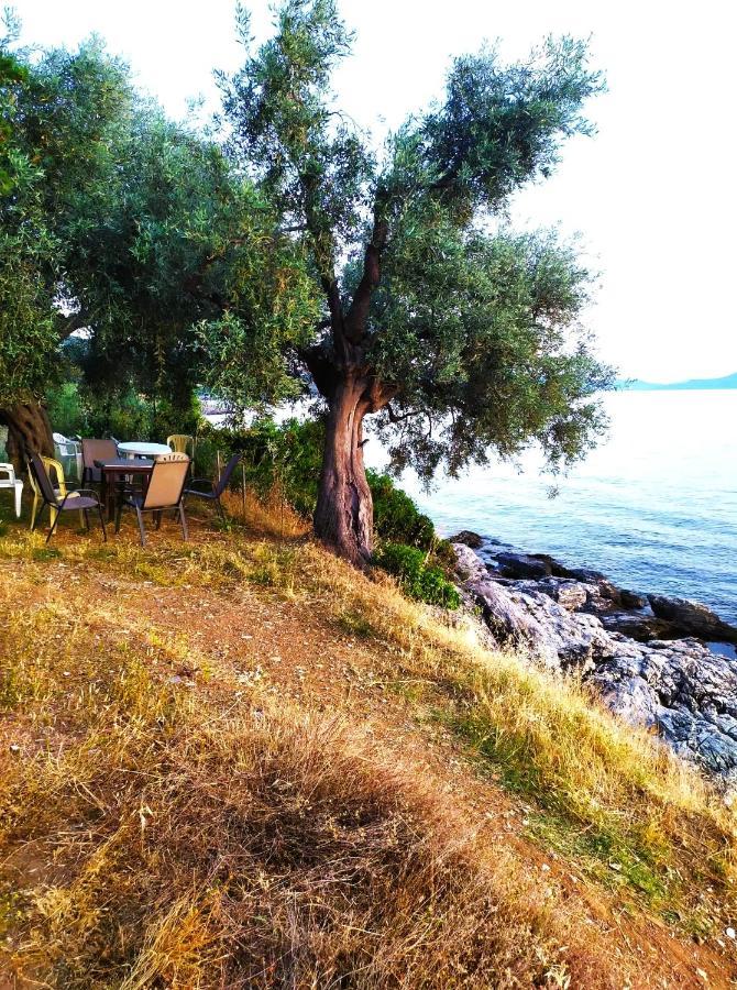 Villa Leonidas Greecefiloxenia Λεφόκαστρο Εξωτερικό φωτογραφία