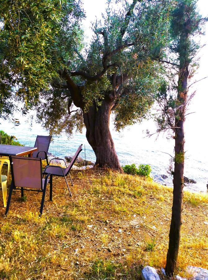 Villa Leonidas Greecefiloxenia Λεφόκαστρο Εξωτερικό φωτογραφία