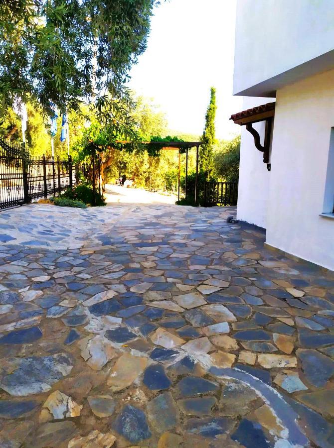 Villa Leonidas Greecefiloxenia Λεφόκαστρο Εξωτερικό φωτογραφία