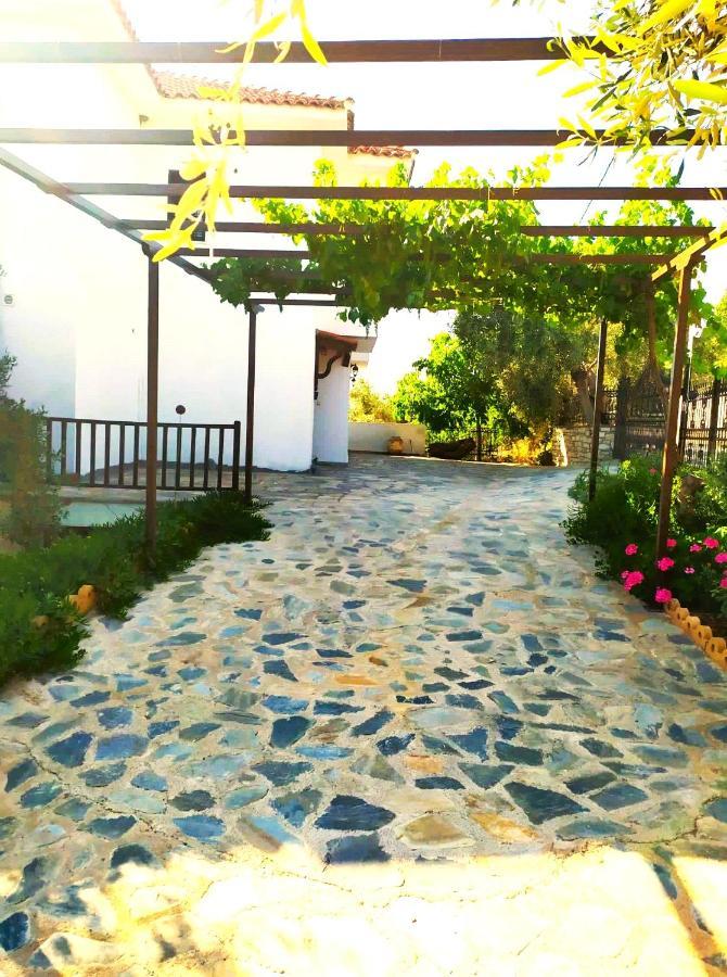 Villa Leonidas Greecefiloxenia Λεφόκαστρο Εξωτερικό φωτογραφία