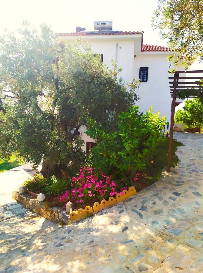 Villa Leonidas Greecefiloxenia Λεφόκαστρο Εξωτερικό φωτογραφία