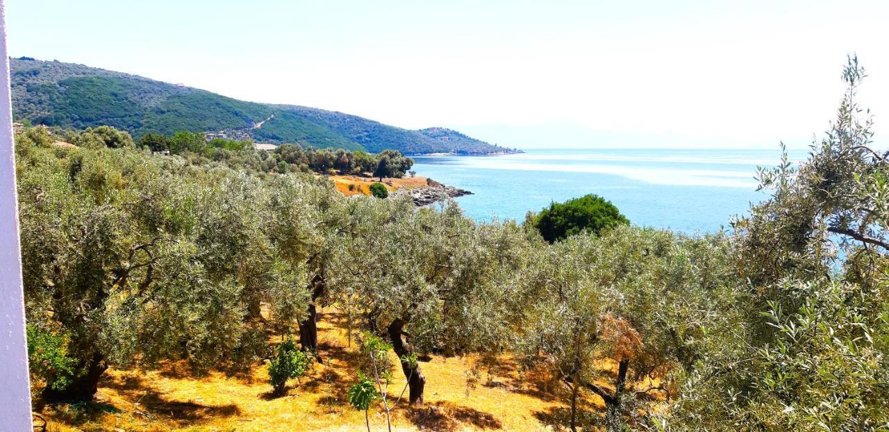 Villa Leonidas Greecefiloxenia Λεφόκαστρο Εξωτερικό φωτογραφία
