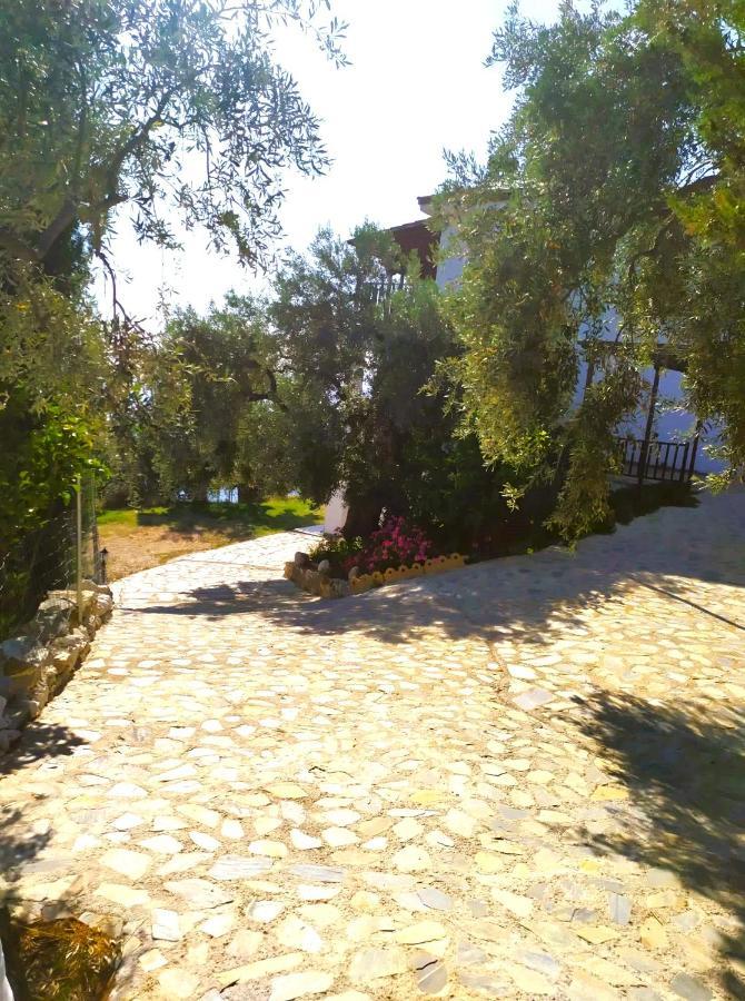 Villa Leonidas Greecefiloxenia Λεφόκαστρο Εξωτερικό φωτογραφία