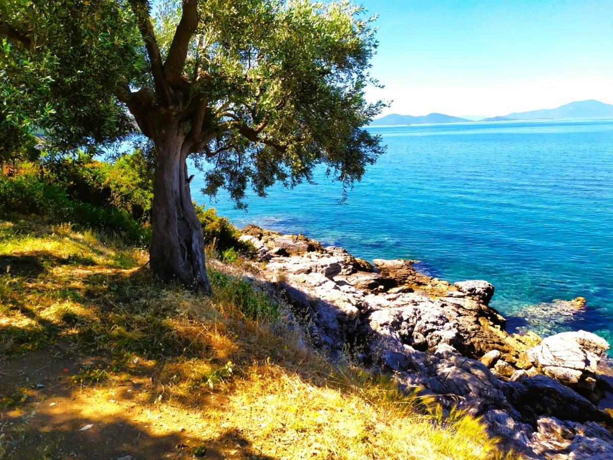 Villa Leonidas Greecefiloxenia Λεφόκαστρο Εξωτερικό φωτογραφία
