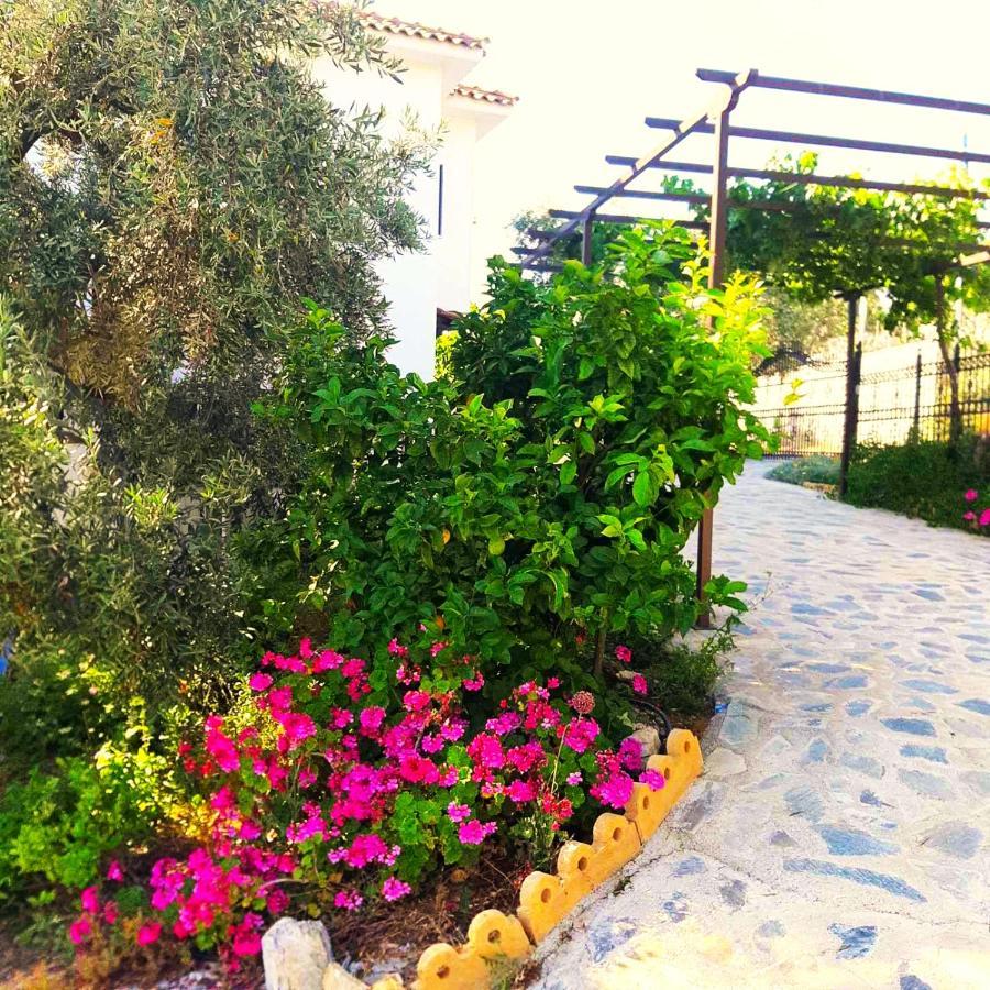 Villa Leonidas Greecefiloxenia Λεφόκαστρο Εξωτερικό φωτογραφία