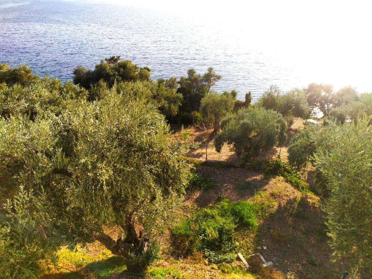 Villa Leonidas Greecefiloxenia Λεφόκαστρο Εξωτερικό φωτογραφία